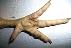 Tag 40